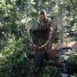Person in camo kneels behind a large elk with antlers in a forested area; hunting gear visible on elk.