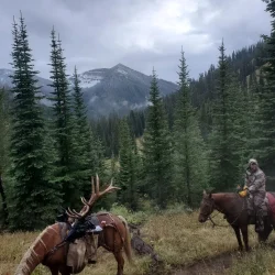 A person on horseback and a pack horse with antlers in a forested mountain area under a cloudy sky.