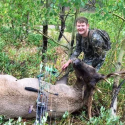 Person in camouflage poses in a forest next to a large elk lying on the ground, with archery equipment visible.