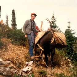 Man stands beside a pack mule carrying gear in a forested, mountainous area with antlers tied to the load.
