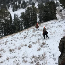 Three people on horses ride down a snowy hillside surrounded by pine trees in a wintry landscape.