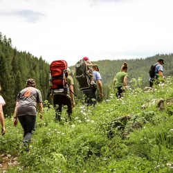 A group of people with backpacks hike uphill through a grassy field with wildflowers and trees in the background.