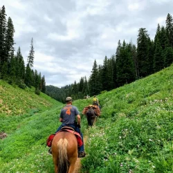 People riding horses on a narrow trail through a green, grassy valley with pine trees and cloudy skies above.